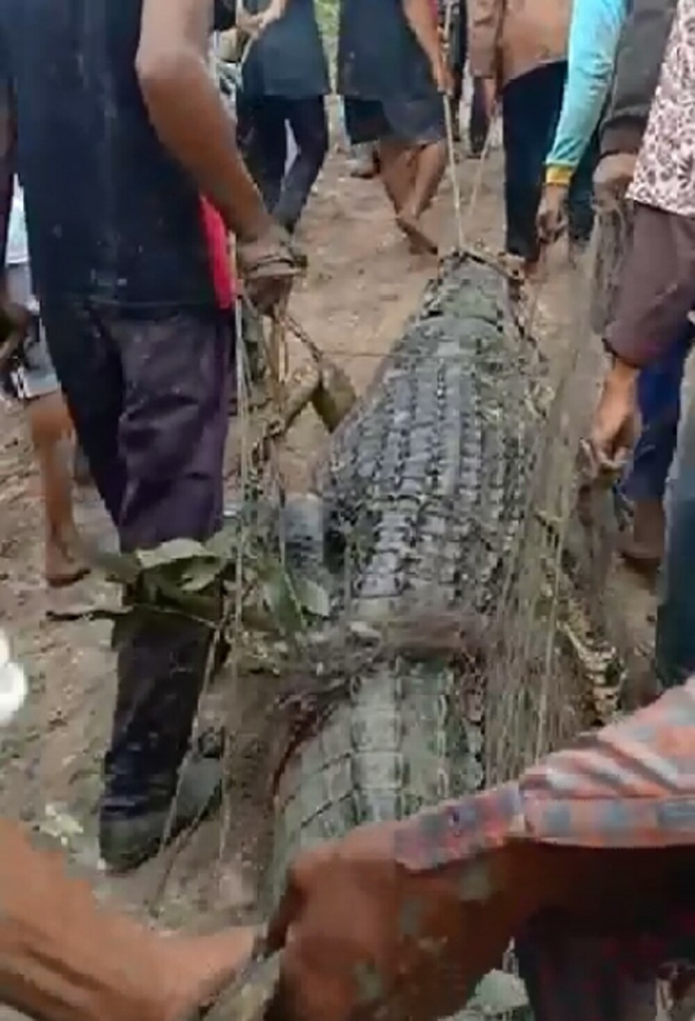 Pescar, atacat și înghițit de un crocodil. Ce au găsit autoritățile în stomacul reptilei. GALERIE FOTO - Imaginea 2
