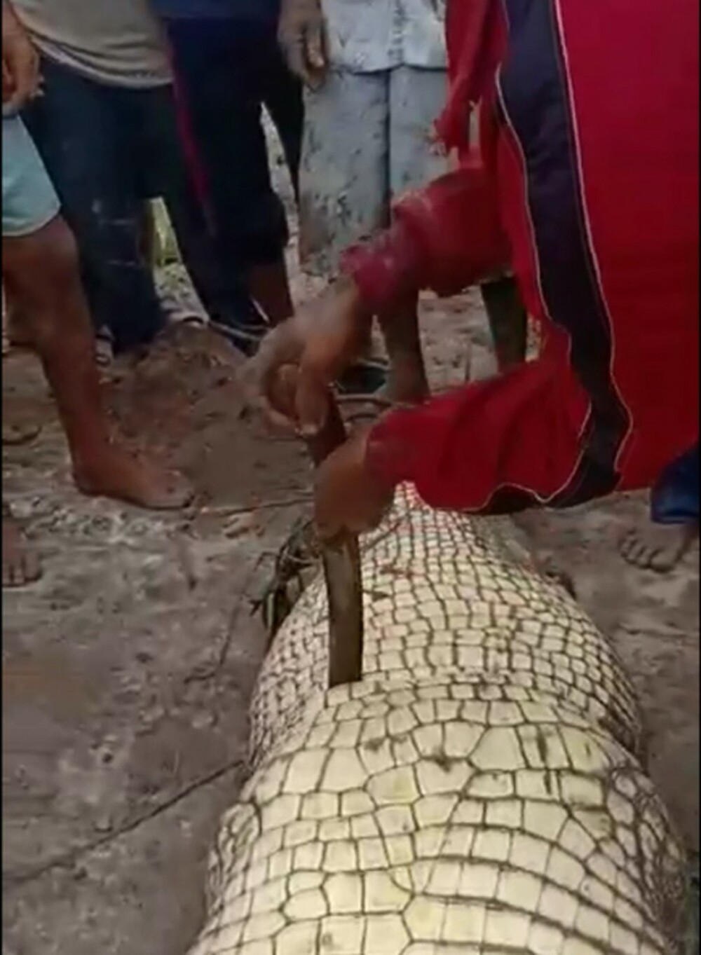 Pescar, atacat și înghițit de un crocodil. Ce au găsit autoritățile în stomacul reptilei. GALERIE FOTO - Imaginea 4