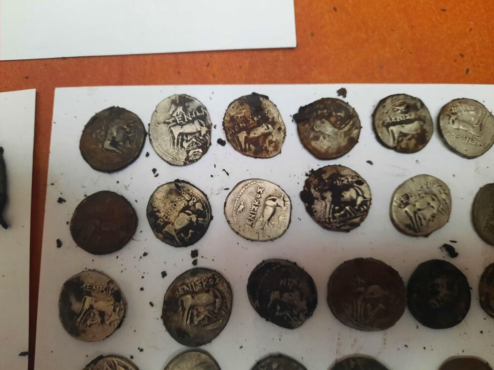 Peste 200 de monede antice au fost descoperite într-o pădure de lângă București - Imaginea 1