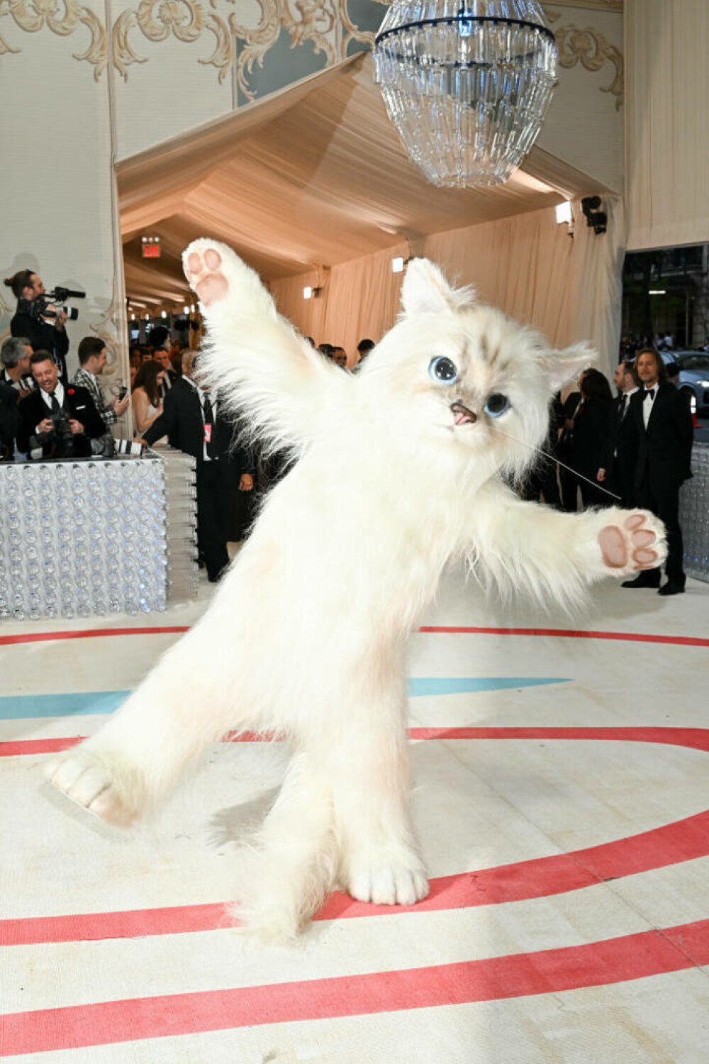 Apariții spectaculoase la Met Gala 2023. Jared Leto s-a îmbrăcat precum pisica lui Karl Lagerfeld. GALERIE FOTO - Imaginea 23