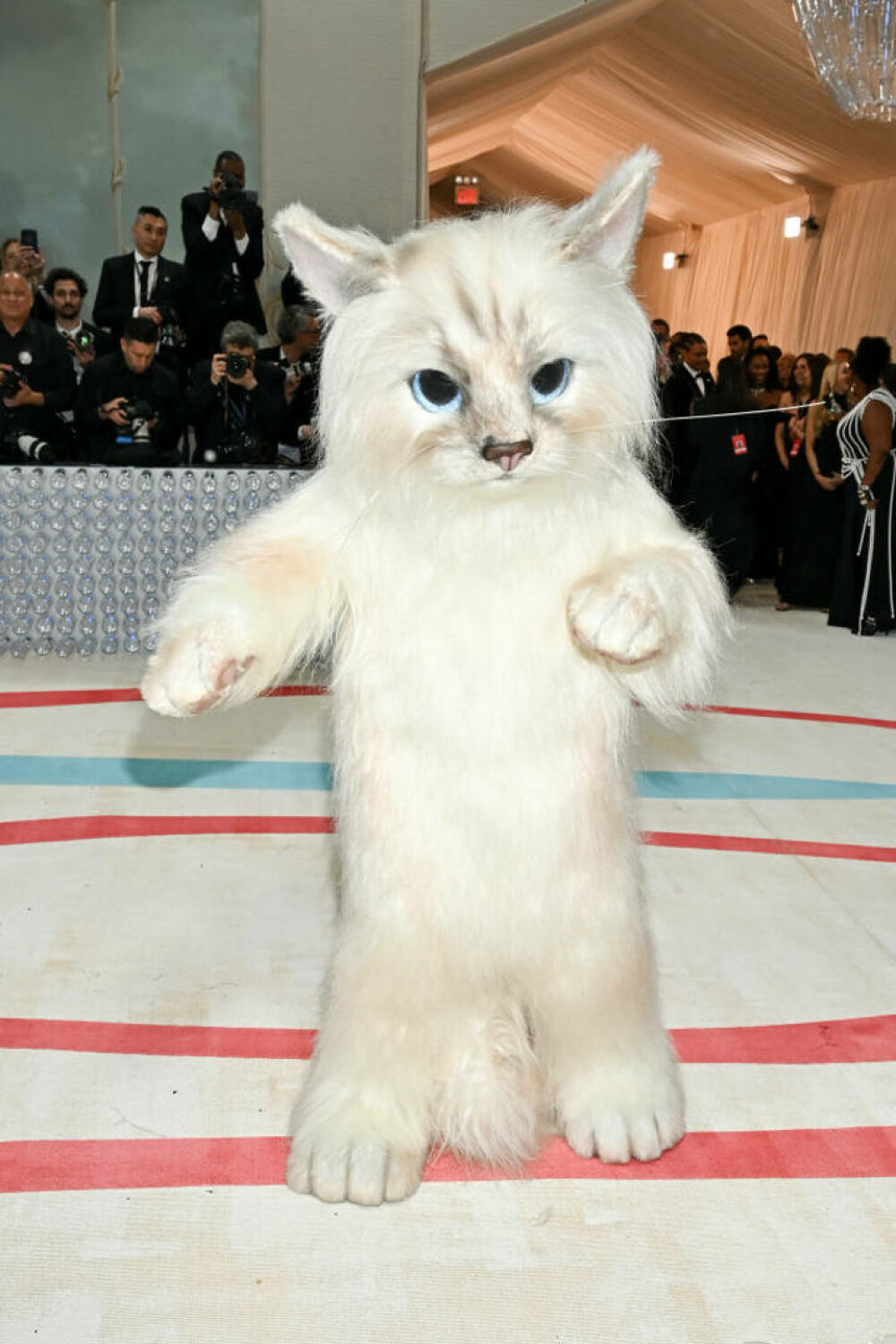 Apariții spectaculoase la Met Gala 2023. Jared Leto s-a îmbrăcat precum pisica lui Karl Lagerfeld. GALERIE FOTO - Imaginea 24