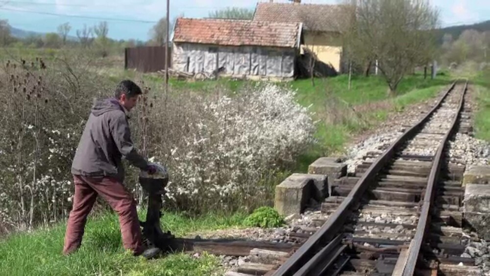 Mocănița de pe Valea Hârtibaciului a fost pusă pe șine. Turiștii sunt fascinați de ea și de priveliștile de pe drum - Imaginea 8