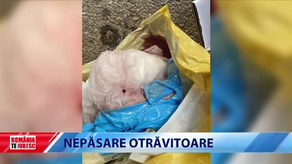 Șocant. Cum se transportă deșeurile medicale de la spitalul de pediatrie din Timișoara. Sângele tâșnește pe jos - Imaginea 3