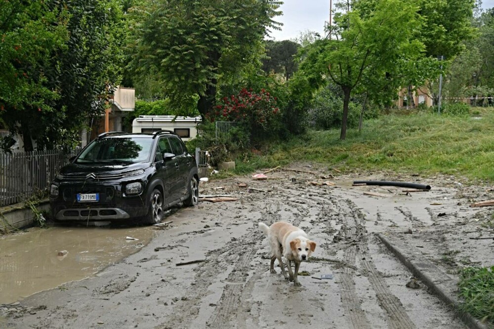 Nord-estul Italiei, lovit de inundații de amploare. Doi oameni au murit și cel puțin patru sunt dați dispăruți | VIDEO - Imaginea 6