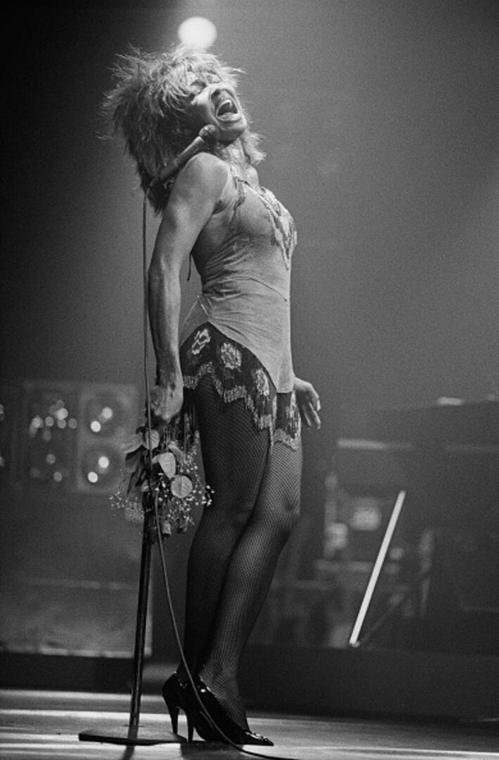 Tina Turner - viața tragică a unui artist legendar. Cântăreața a luat în calcul sinuciderea asistată - Imaginea 3