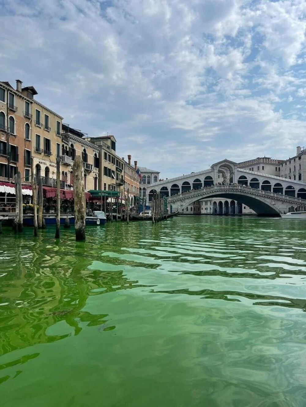 De ce apa din Canal Grande din Veneția s-a colorat în verde fluorescent | GALERIE FOTO - Imaginea 2