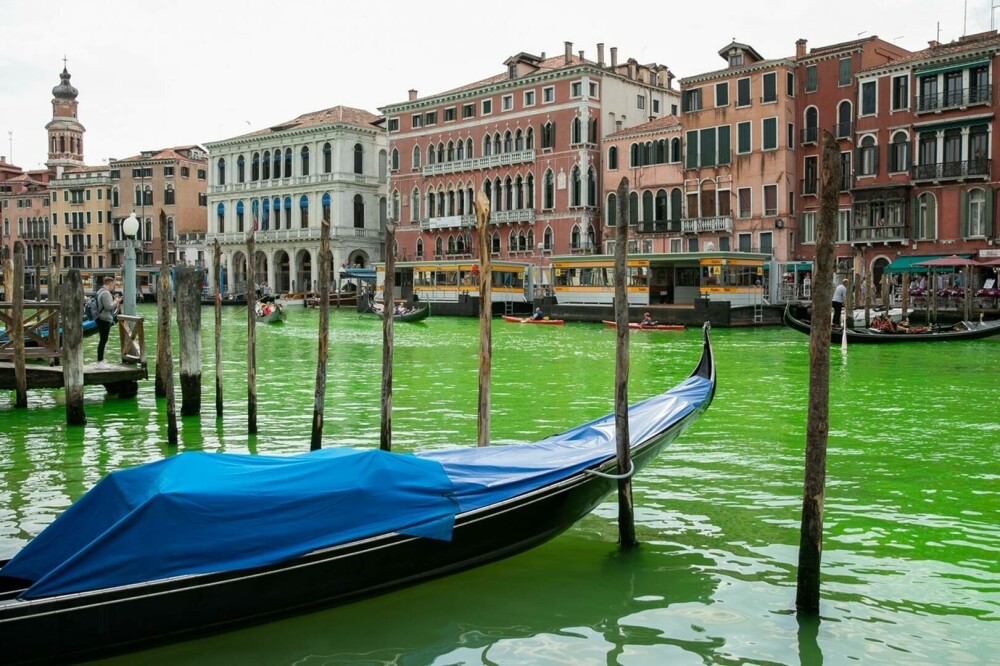 De ce apa din Canal Grande din Veneția s-a colorat în verde fluorescent | GALERIE FOTO - Imaginea 8