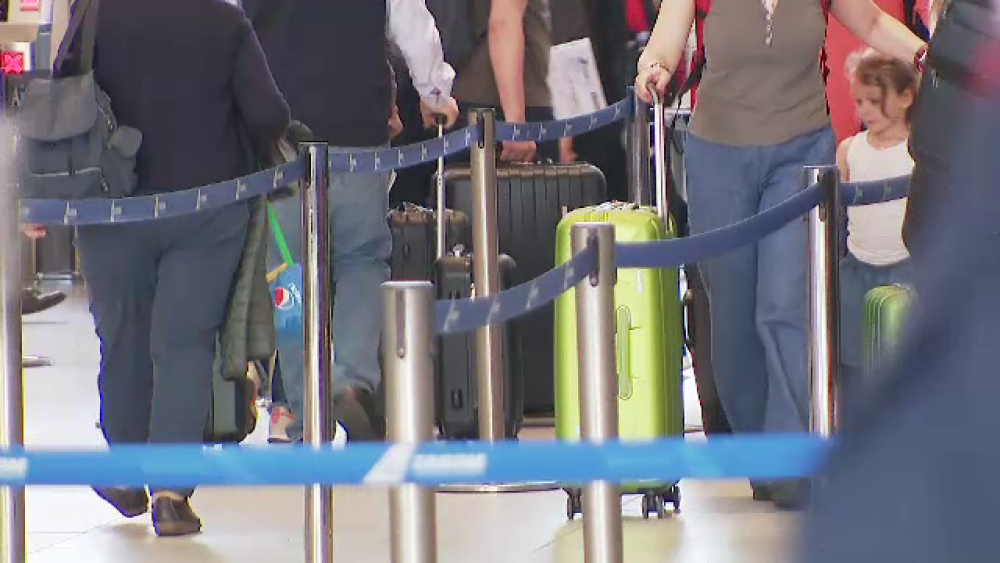 O familie de români venită din Dubai a fost oprită pe Aeroportul Otopeni, după ce vameșii au descoperit ce ascundea în bagaje - Imaginea 1
