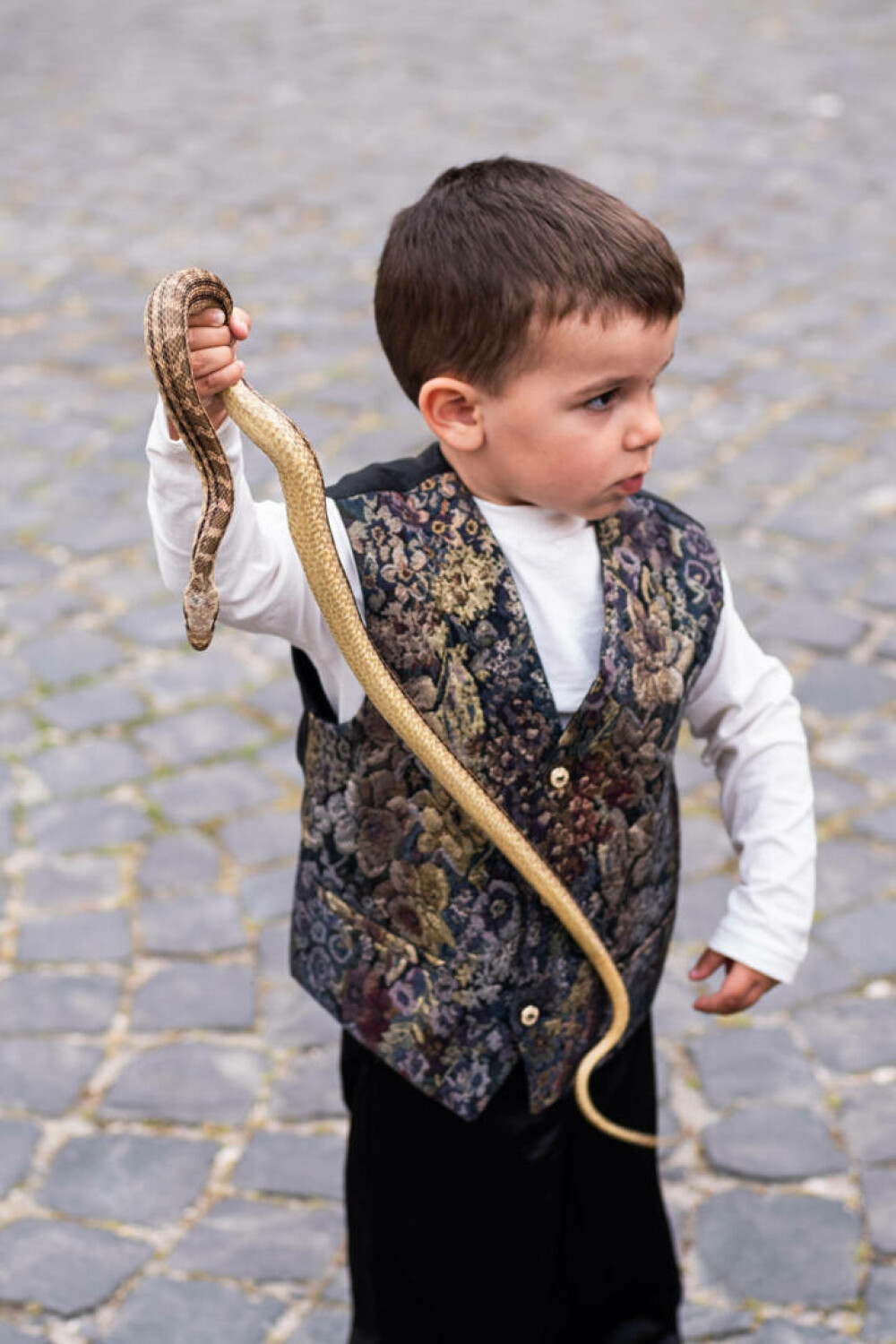 Procesiune cu șerpi în Italia. Oamenii îi aduc din munți și-i țin acasă până în ziua ceremoniei GALERIE FOTO - Imaginea 7