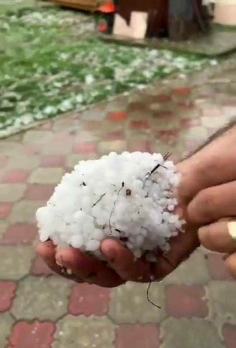 Grindina continuă să facă pagube în mai multe zone din ţară. ANM a emis mai multe avertizări de fenomene periculoase. FOTO - Imaginea 2