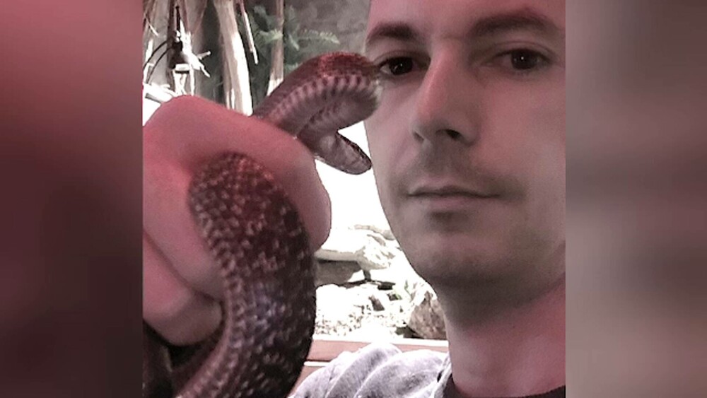 Bărbat din Severin, găsit mort în casă, printre mai mulți șerpi. Avea o crescătorie ilegală de reptile, printre care 3 vipere - Imaginea 6