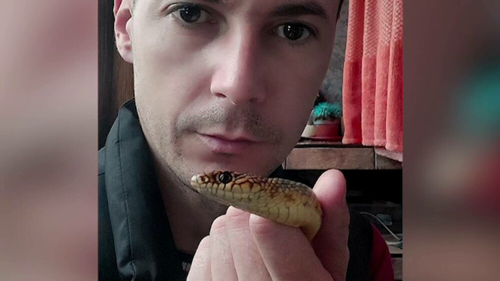 Bărbat din Severin, găsit mort în casă, printre mai mulți șerpi. Avea o crescătorie ilegală de reptile, printre care 3 vipere - Imaginea 7