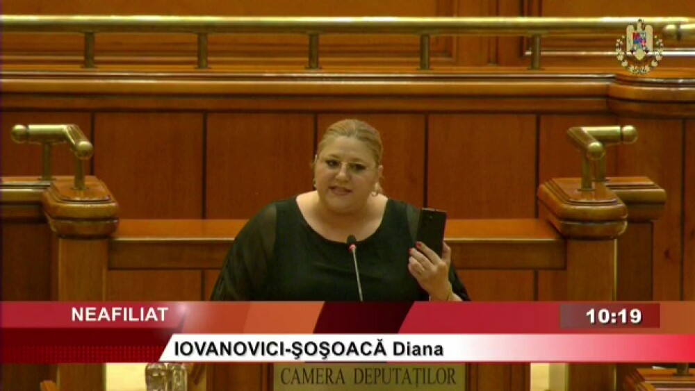 VIDEO. Diana Șoșoacă, scandal în Parlament la ședința dedicată prieteniei cu Israel: ”Rușine. Trădătorilor. Trăiască Garda!” - Imaginea 1