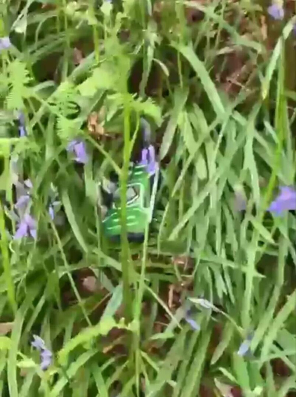 Un parașutist și-a scăpat iPhone-ul de la 3.000 de metri și a avut parte de o surpriză atunci când l-a găsit într-o pădure - Imaginea 5