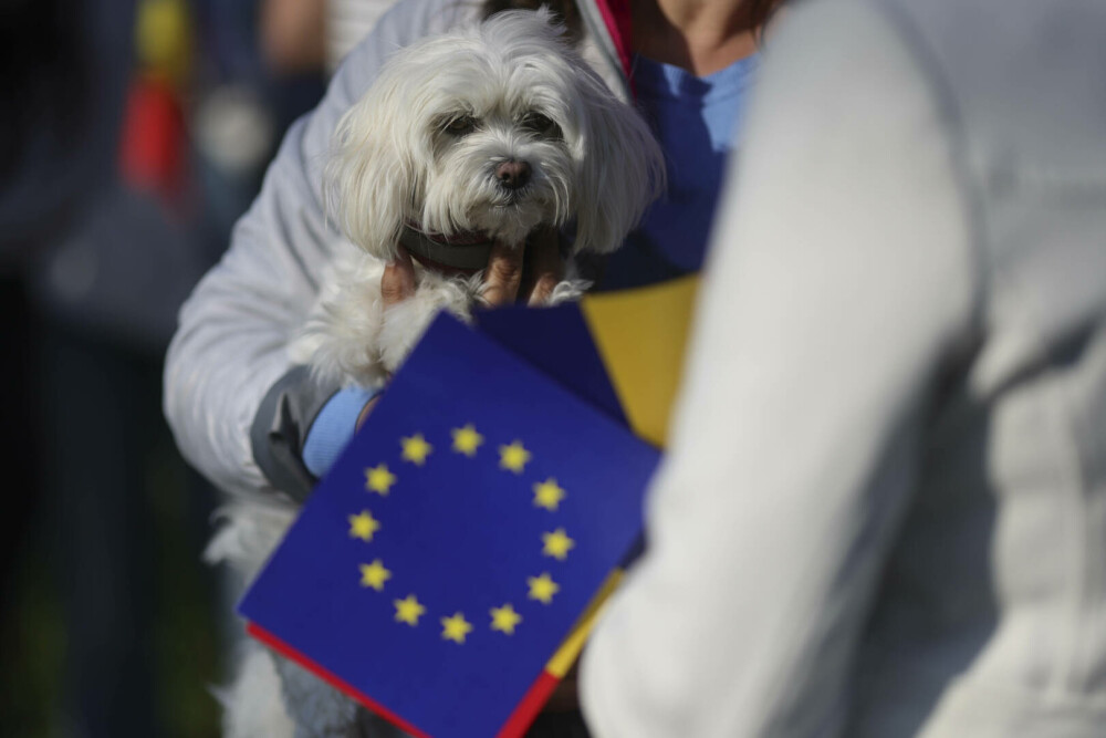 GALERIE FOTO. Zeci de mii de români din toată țara au ieșit în stradă, să transmită un mesaj: ”Un singur drum – Europa” - Imaginea 19