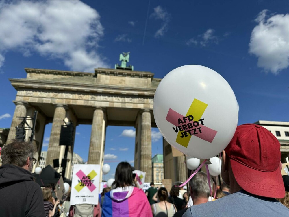 Mii de persoane din Germania au ieşit în stradă pentru a cere interzicerea AfD. „Nu este un partid normal” - Imaginea 3