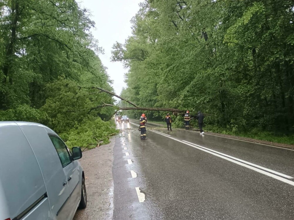 Mai multe drumuri naţionale sunt blocate temporar din cauza ploilor. Pompierii intervin în 16 judeţe şi în Bucureşti. VIDEO - Imaginea 8