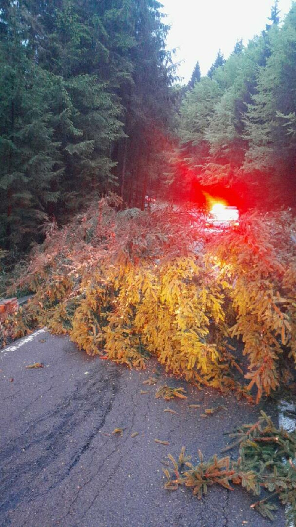 Mai multe drumuri naţionale sunt blocate temporar din cauza ploilor. Pompierii intervin în 16 judeţe şi în Bucureşti. VIDEO - Imaginea 10