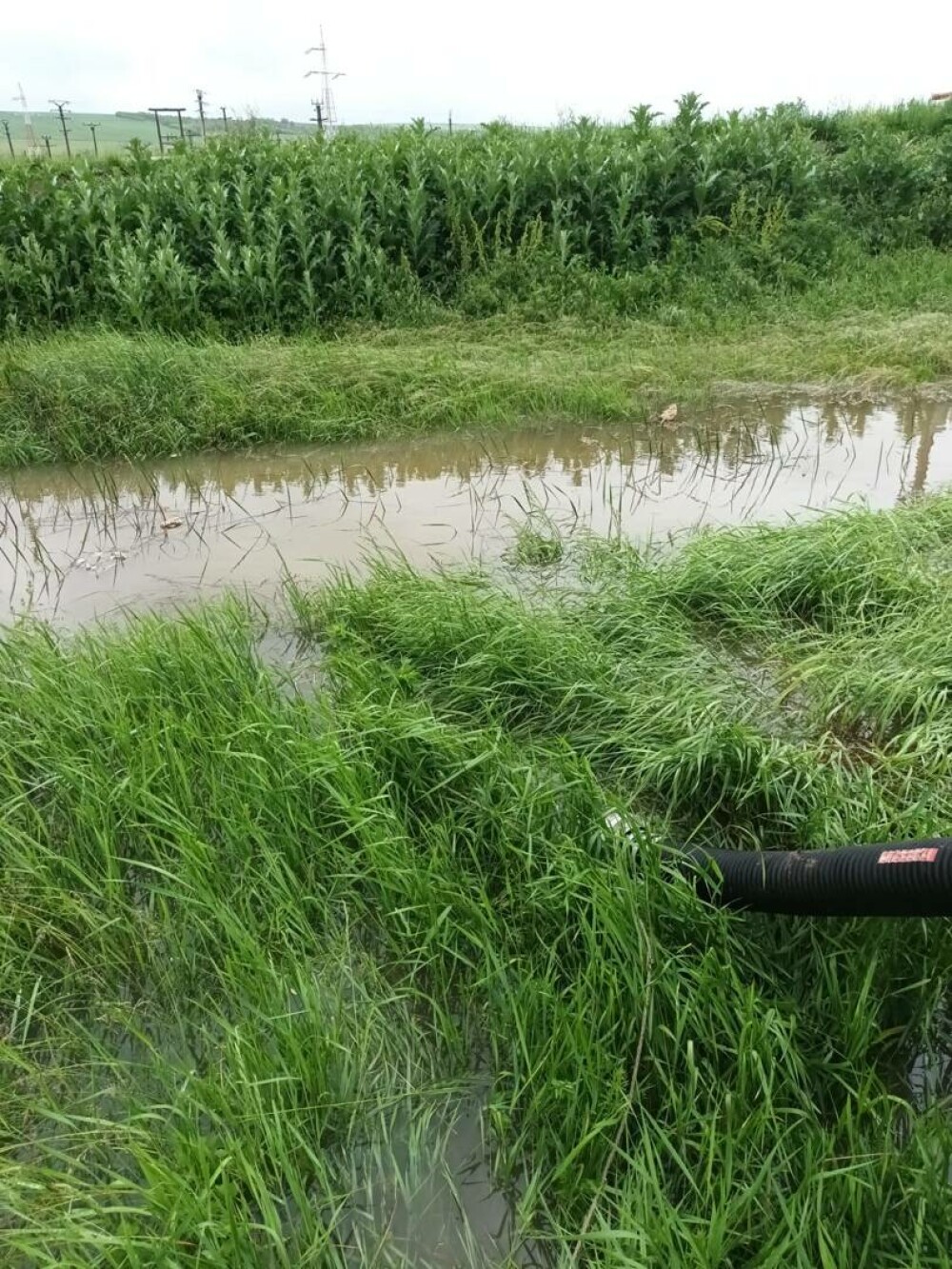 Infotrafic: Restricţii de circulaţie în judeţele Covasna, Galaţi, Harghita şi Braşov, din cauza precipitaţiilor abundente - Imaginea 8