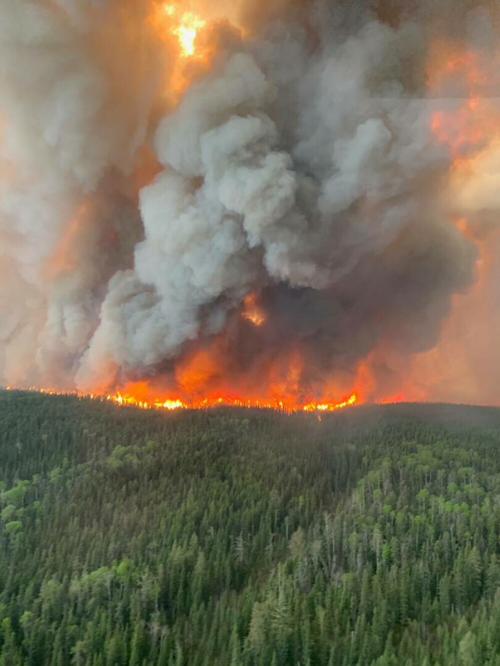 În Canada are loc cea mai amplă acţiune de evacuare din istoria recentă, din cauza incendiilor de vegetație - Imaginea 2