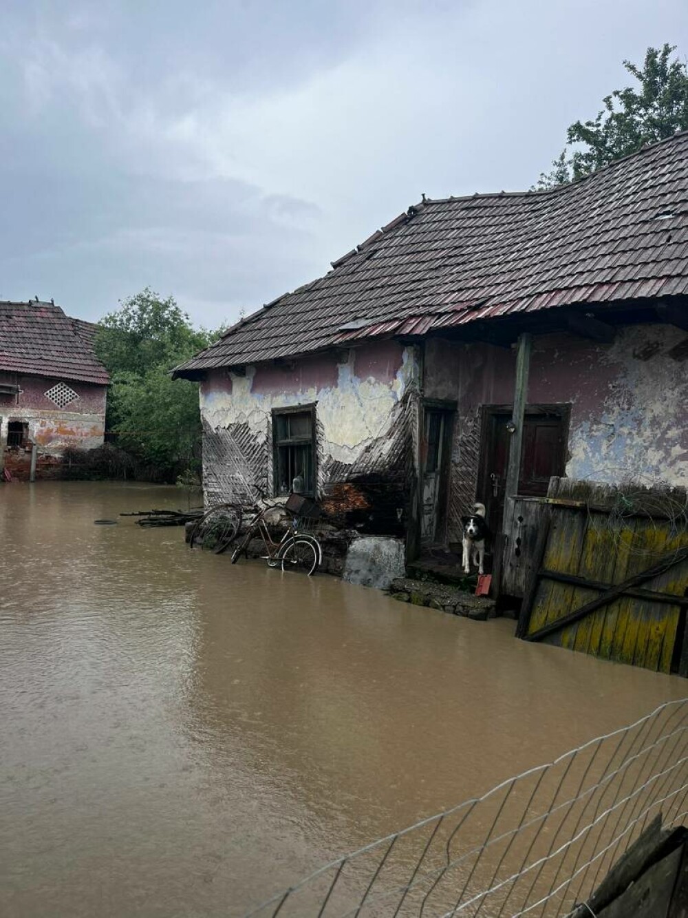 IGSU: Aproximativ 300 de gospodării din Covasna, inundate şi peste 300 de persoane rămân evacuate. GALERIE FOTO - Imaginea 26