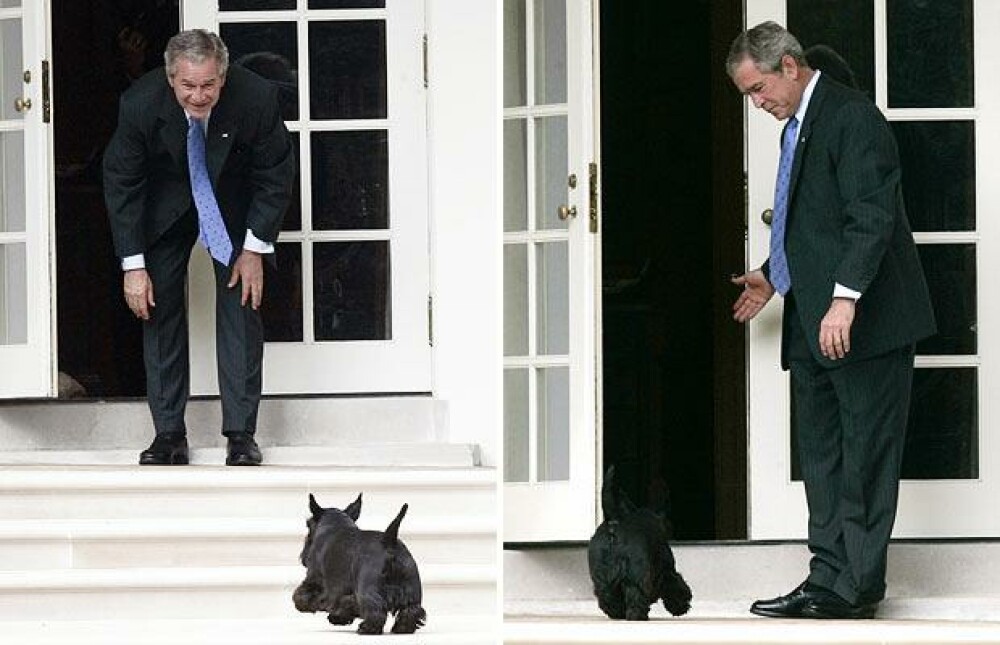 De ce ne va fi dor de George W. Bush? - Imaginea 13