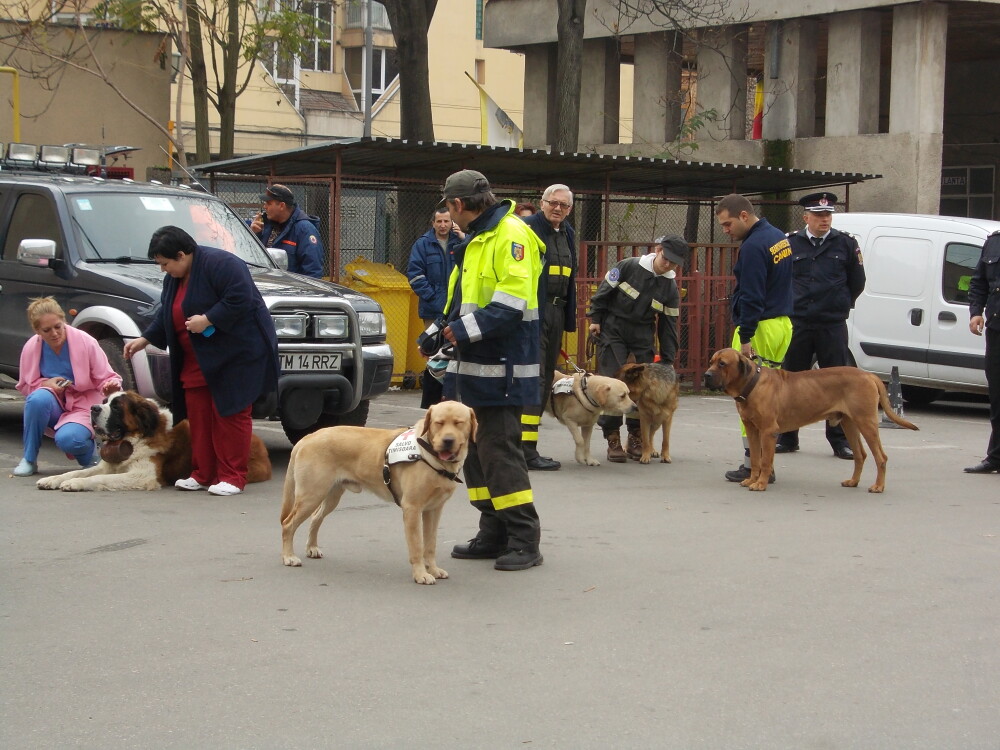 Spitalul Municipal din Timisoara, evacuat. Sase caini de interventie au asigurat zona. Afla motivul - Imaginea 2