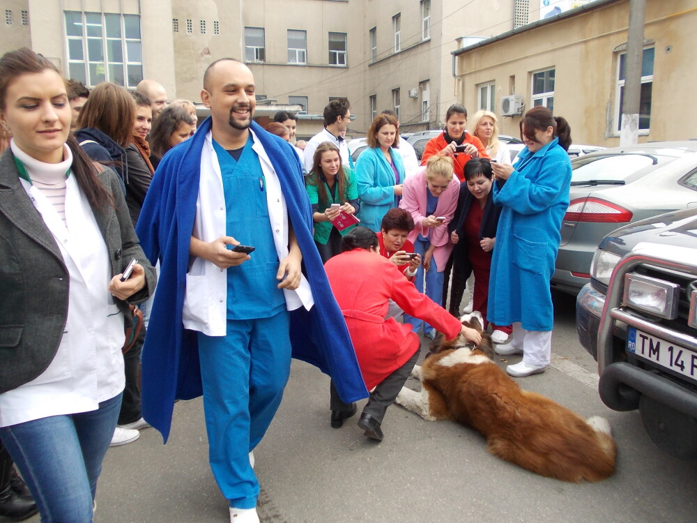 Spitalul Municipal din Timisoara, evacuat. Sase caini de interventie au asigurat zona. Afla motivul - Imaginea 3