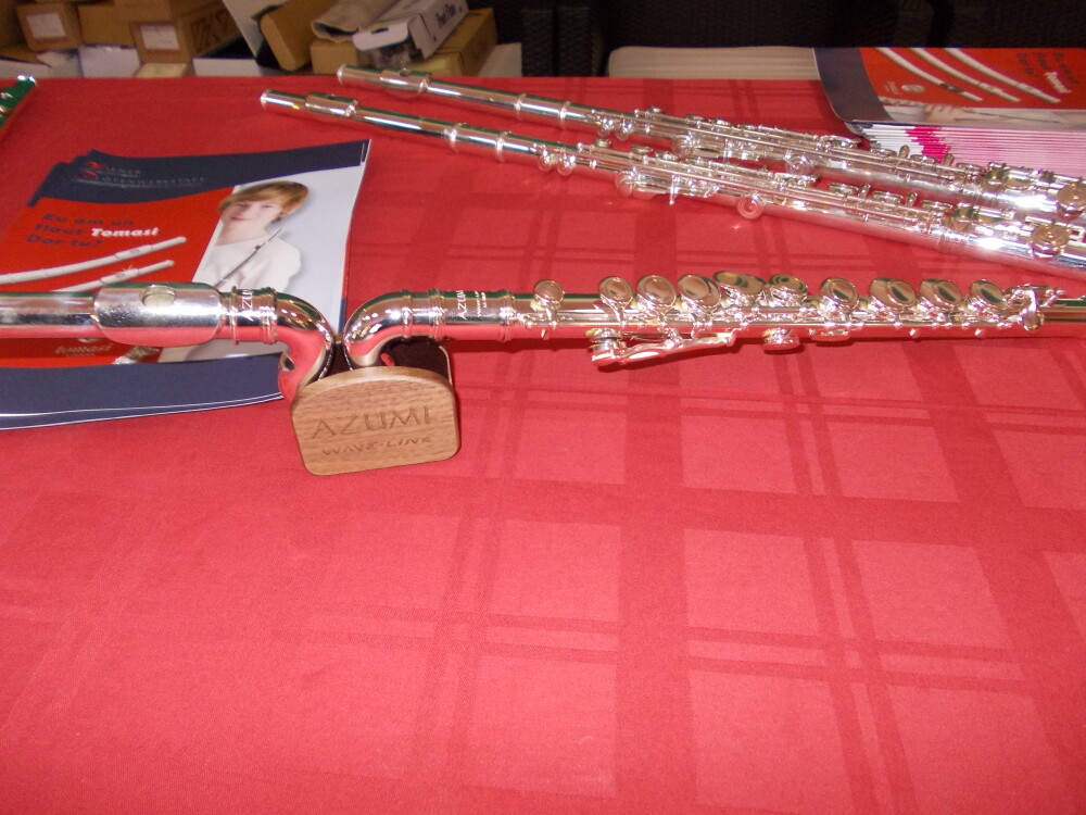 Expozitie de flaute la Filarmonica Banatul. Zeci de instrumente muzicale, testate de timisoreni - Imaginea 3