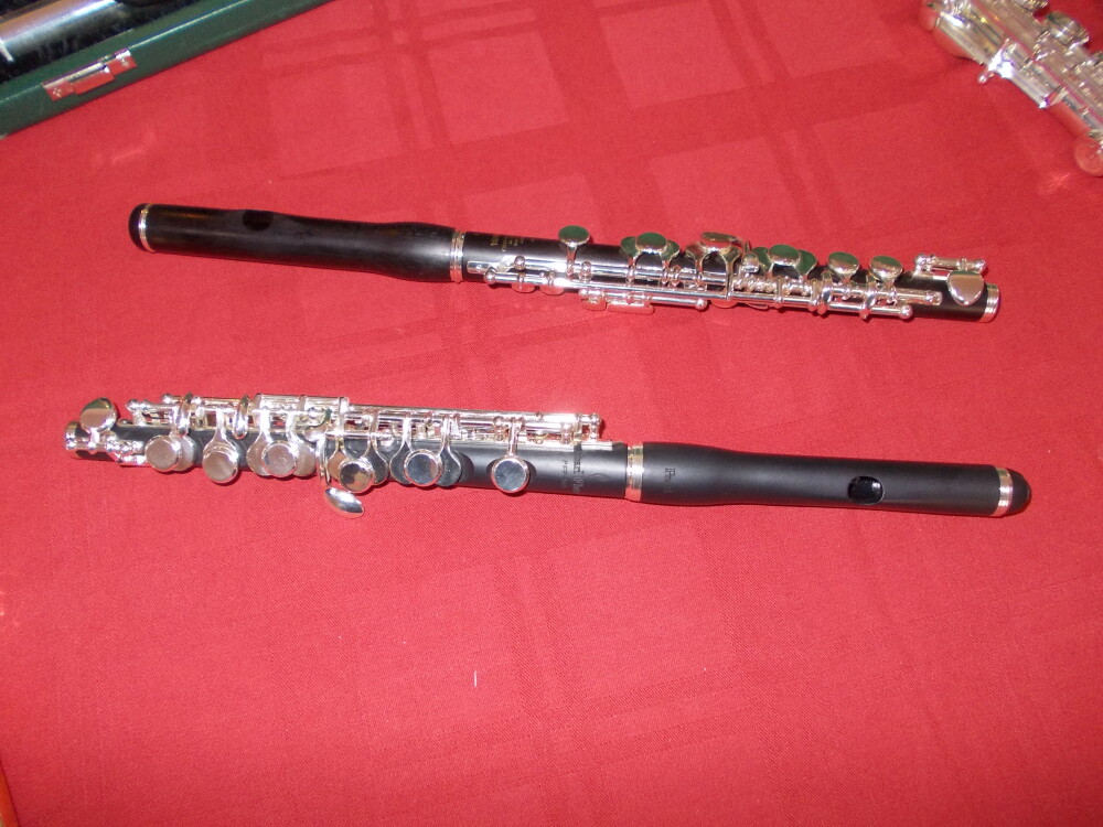 Expozitie de flaute la Filarmonica Banatul. Zeci de instrumente muzicale, testate de timisoreni - Imaginea 5