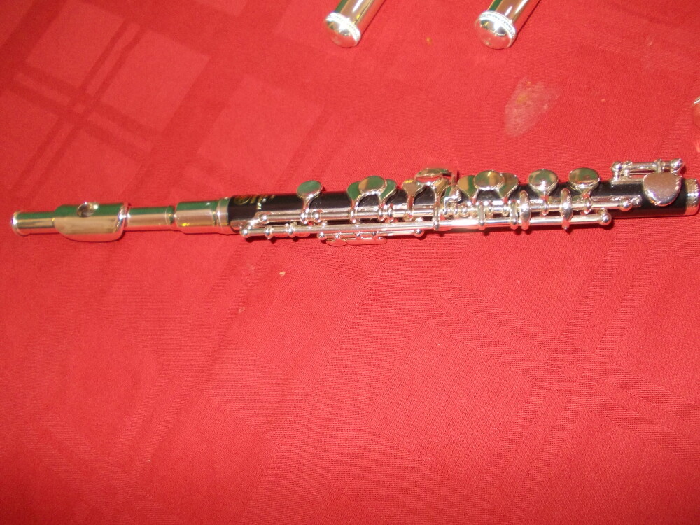Expozitie de flaute la Filarmonica Banatul. Zeci de instrumente muzicale, testate de timisoreni - Imaginea 8