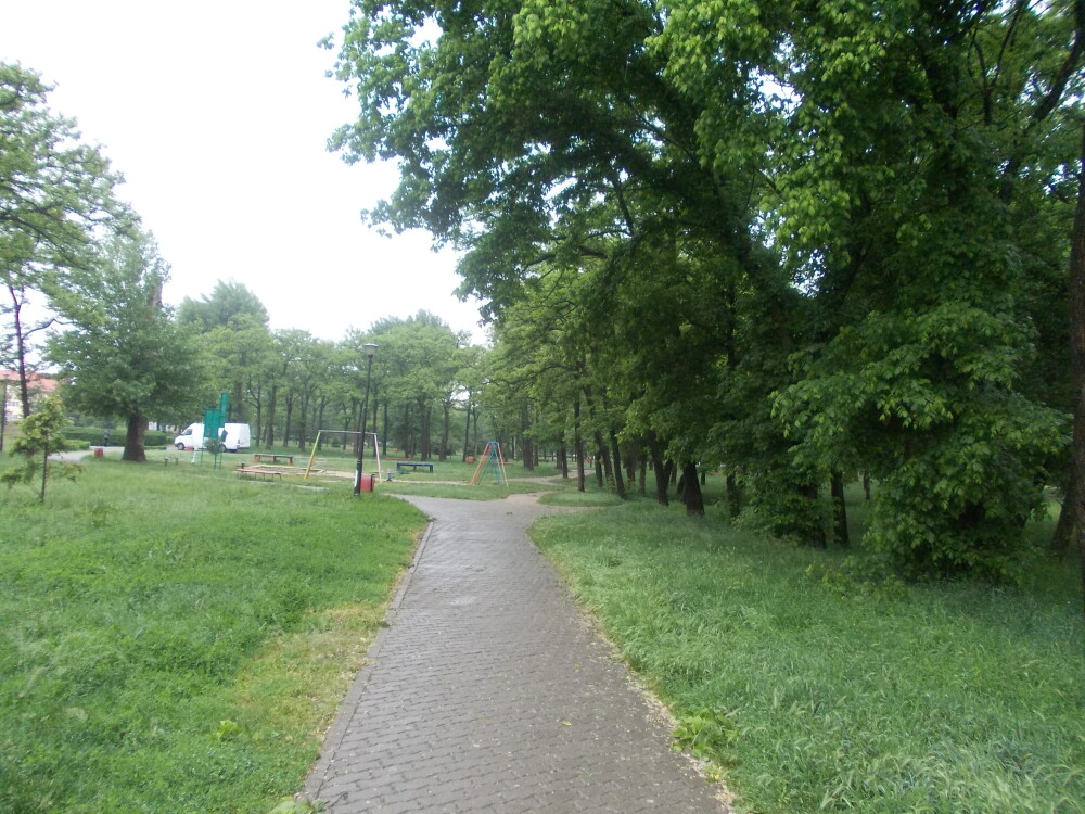 Istoria parcurilor din Timisoara. Vezi ce povesti au in spate locurile de promenada din oras - Imaginea 7