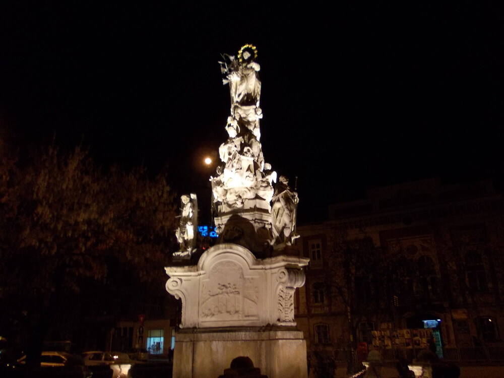 Monumentul Sfantului Nepomuk si copacii din Piata Libertatii, iluminati artistic. Vezi GALERIE FOTO - Imaginea 1