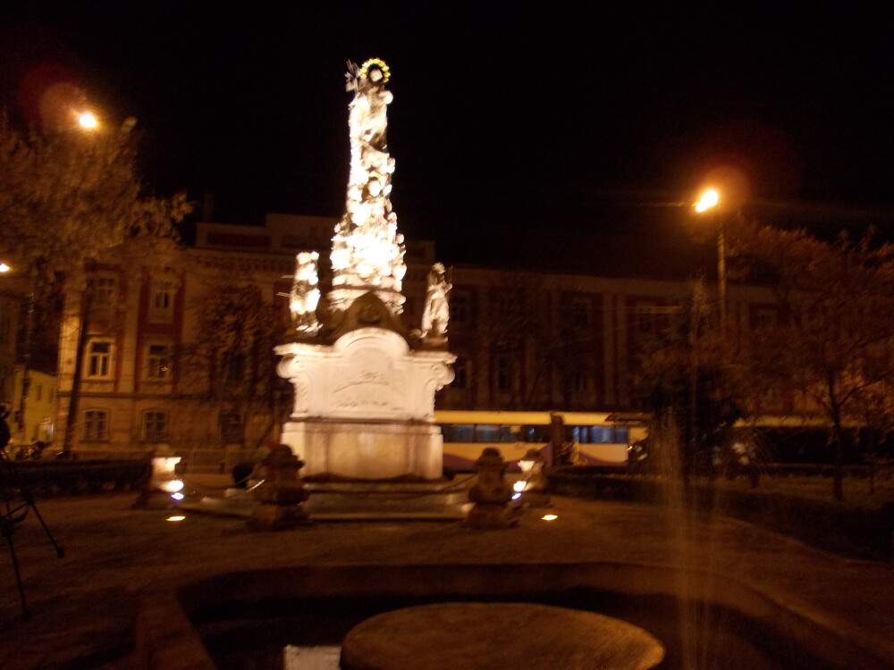 Monumentul Sfantului Nepomuk si copacii din Piata Libertatii, iluminati artistic. Vezi GALERIE FOTO - Imaginea 3