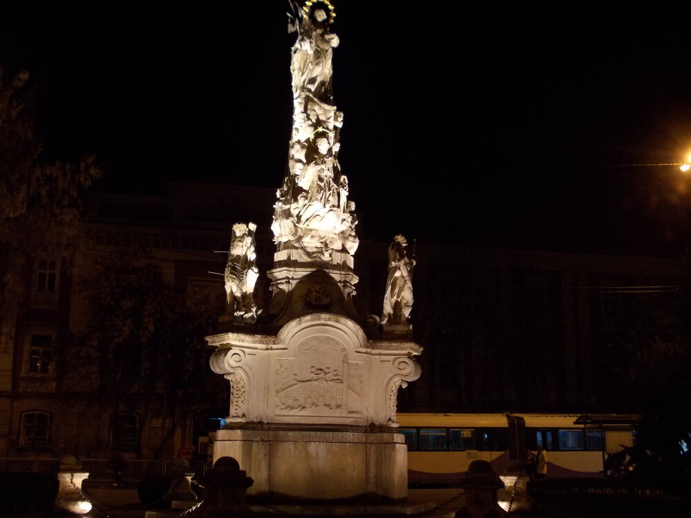 Monumentul Sfantului Nepomuk si copacii din Piata Libertatii, iluminati artistic. Vezi GALERIE FOTO - Imaginea 4