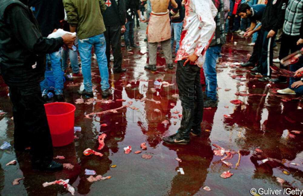 Ashura, sarbatoarea cu ritualuri barbare, oameni mutilati si strazi inecate in sange. GALERIE FOTO - Imaginea 6