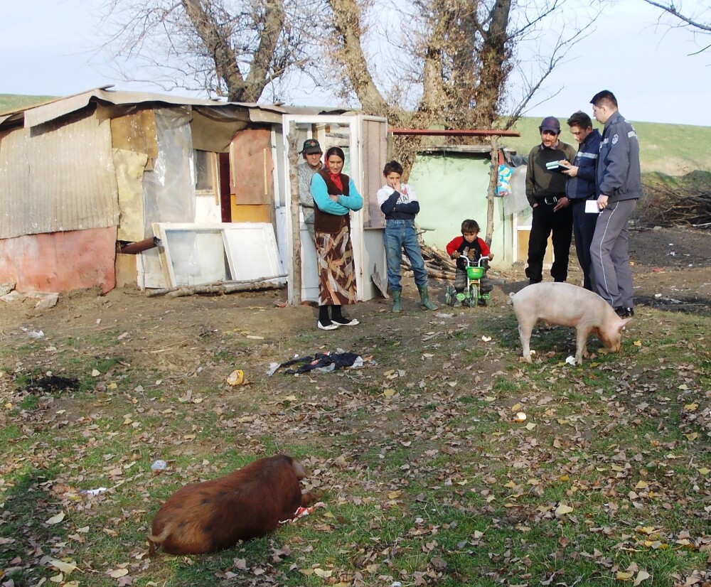 Copii minori gasiti traind in frig, intr-o casa din carton. Reactia incredibila a parintilor - Imaginea 1