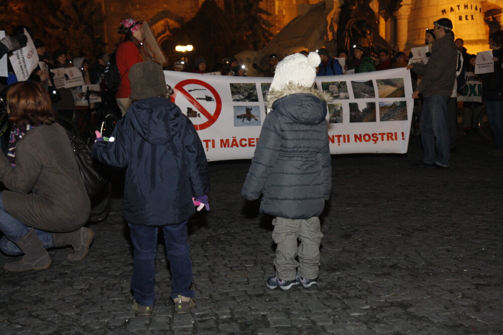 FOTO 200 de tineri au cerut la Cluj ca natura sa nu mai fie distrusa - Imaginea 4