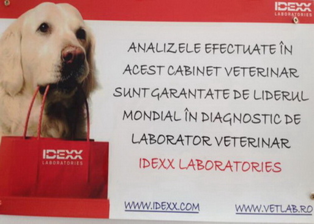 Clinica Veterinara Bassy – pasiune si profesionalism pentru animalul tau de companie ! (P) - Imaginea 2