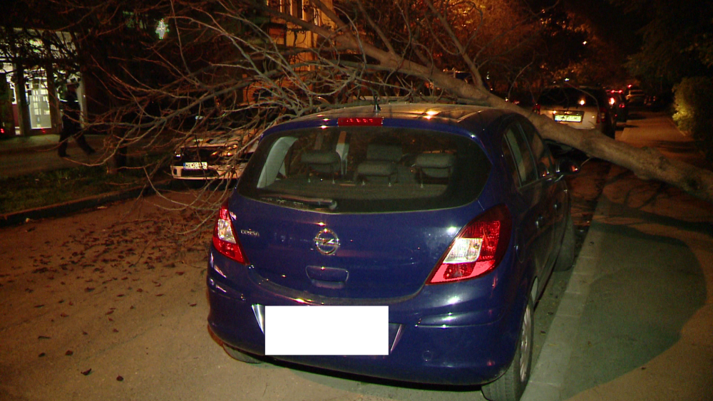 Pompierii din Timisoara au intervenit miercuri seara pentru a indeparta un pom cazut peste o masina - Imaginea 3