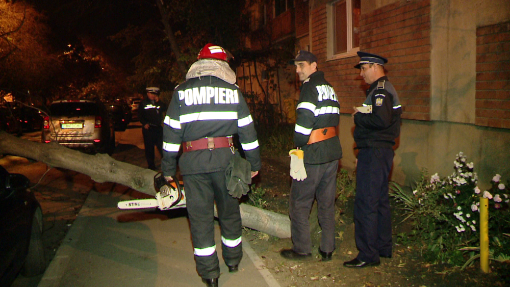 Pompierii din Timisoara au intervenit miercuri seara pentru a indeparta un pom cazut peste o masina - Imaginea 5