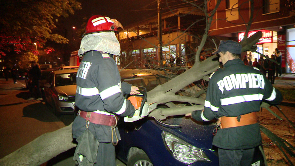 Pompierii din Timisoara au intervenit miercuri seara pentru a indeparta un pom cazut peste o masina - Imaginea 6
