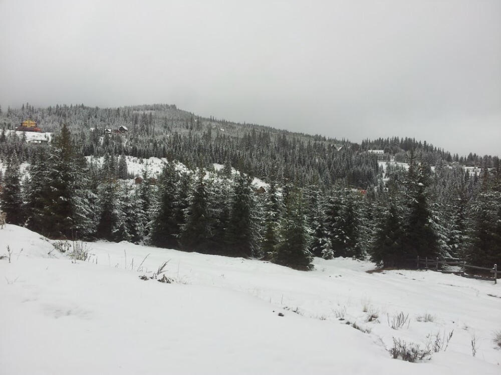 Iarna a ajuns la Cluj. La Baisoara, stratul de zapada atinge 10 centimetri - Imaginea 2