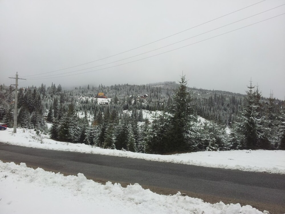 Iarna a ajuns la Cluj. La Baisoara, stratul de zapada atinge 10 centimetri - Imaginea 5