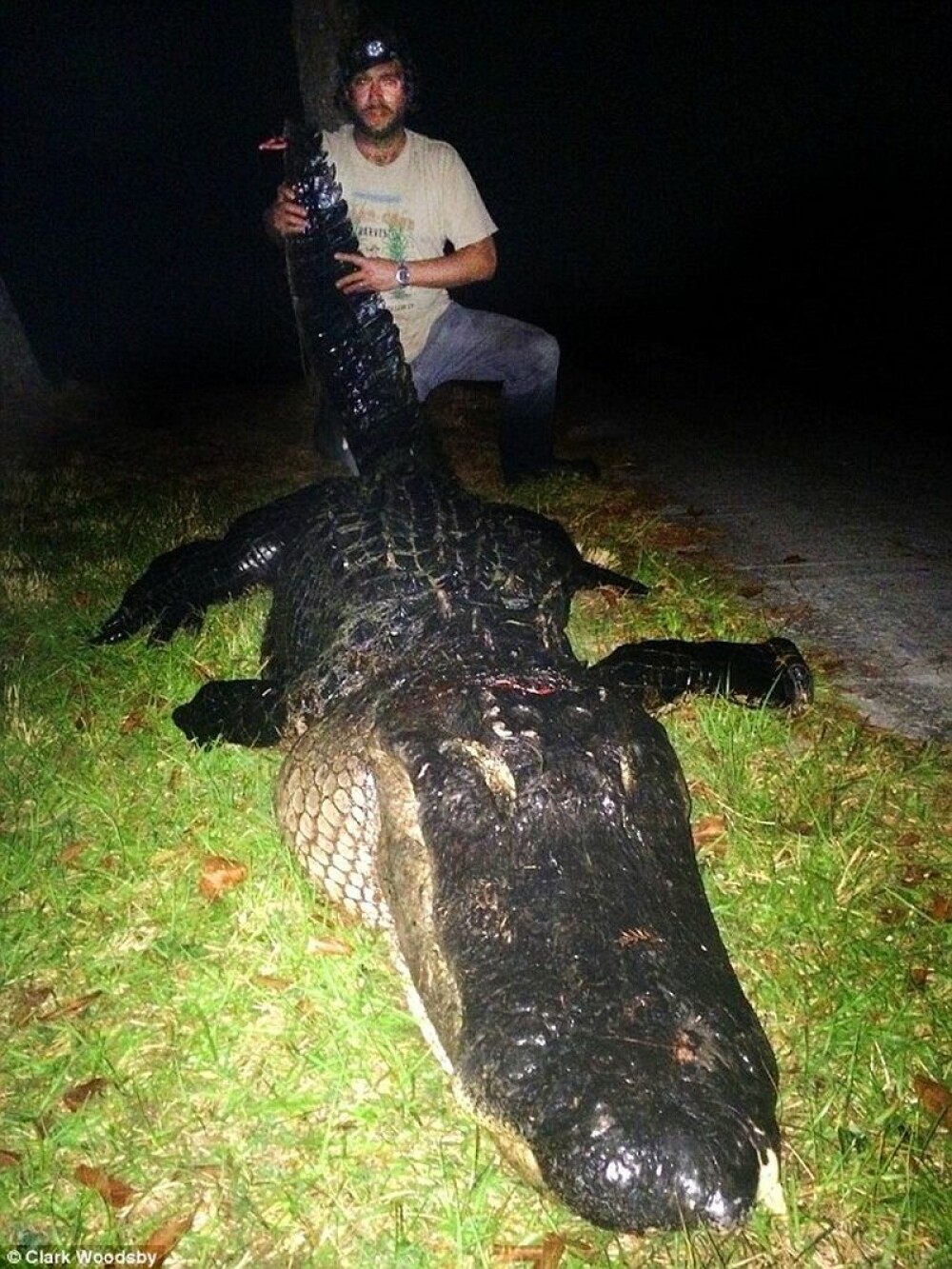 Captura impresionanta facuta de un vanator de crocodili din America. Cum arata “monstrul” de peste 300 de kilograme. FOTO - Imaginea 1