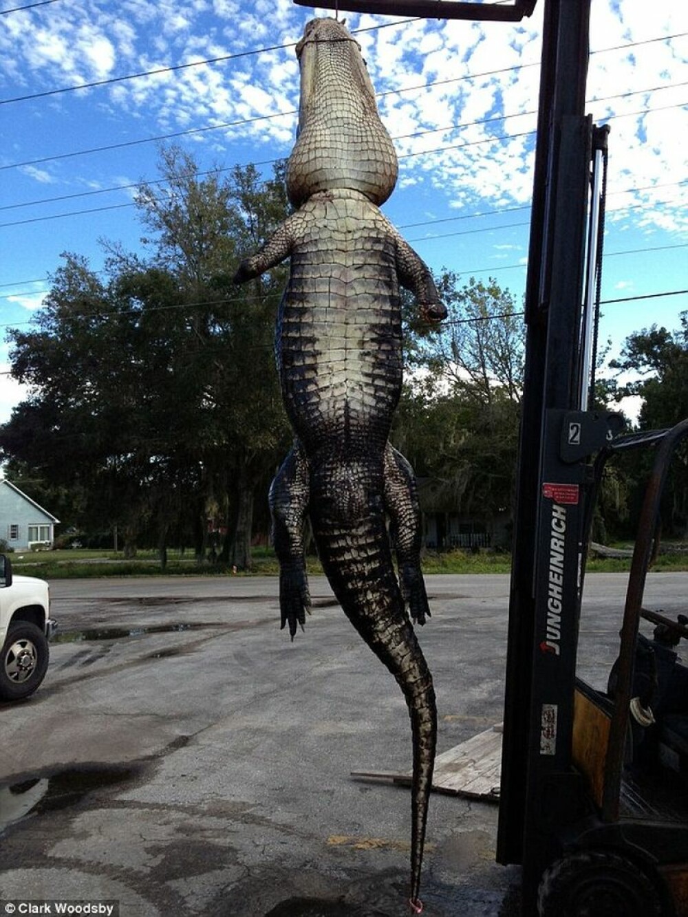 Captura impresionanta facuta de un vanator de crocodili din America. Cum arata “monstrul” de peste 300 de kilograme. FOTO - Imaginea 3