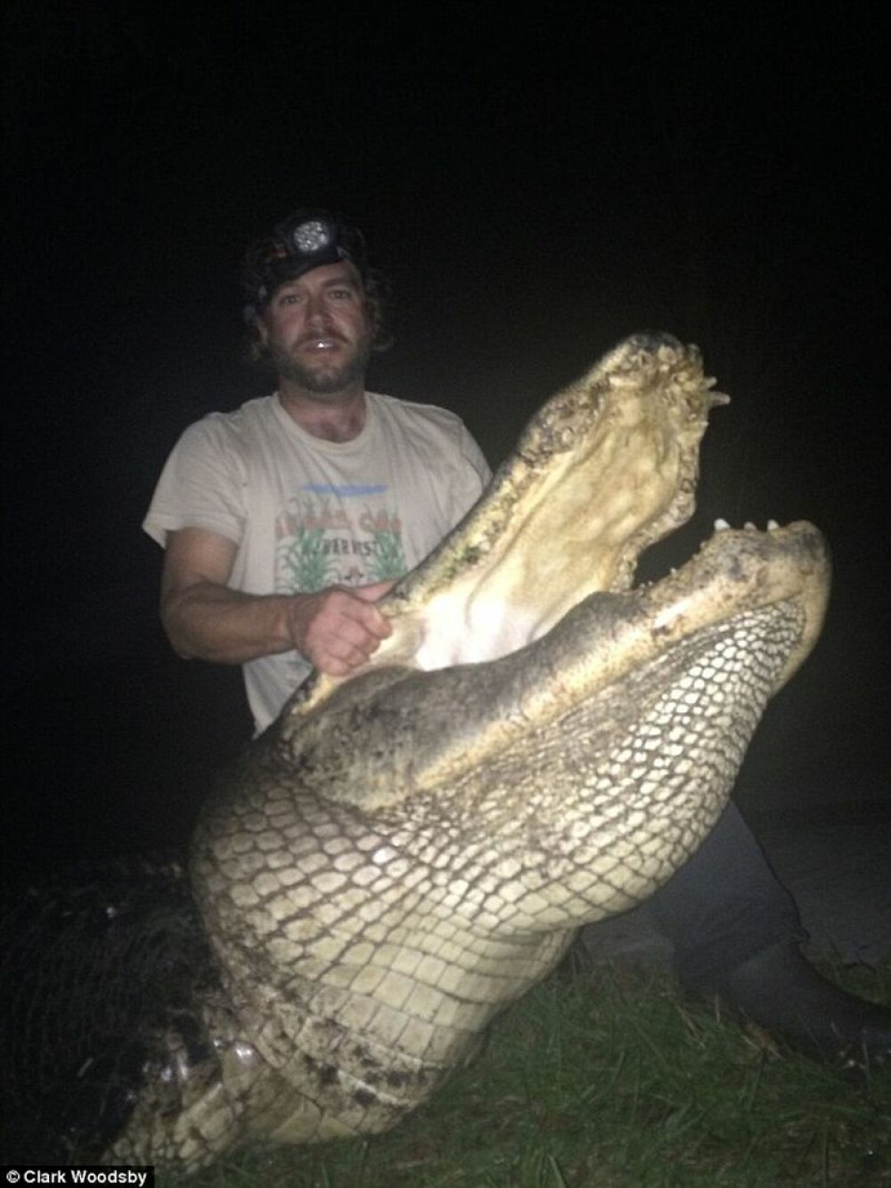 Captura impresionanta facuta de un vanator de crocodili din America. Cum arata “monstrul” de peste 300 de kilograme. FOTO - Imaginea 5