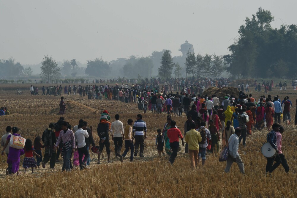 Peste 5000 de bivoli au fost ucisi in Nepal in timpul festivalului Gadhimai. Imagini cu impact emotional puternic - Imaginea 6