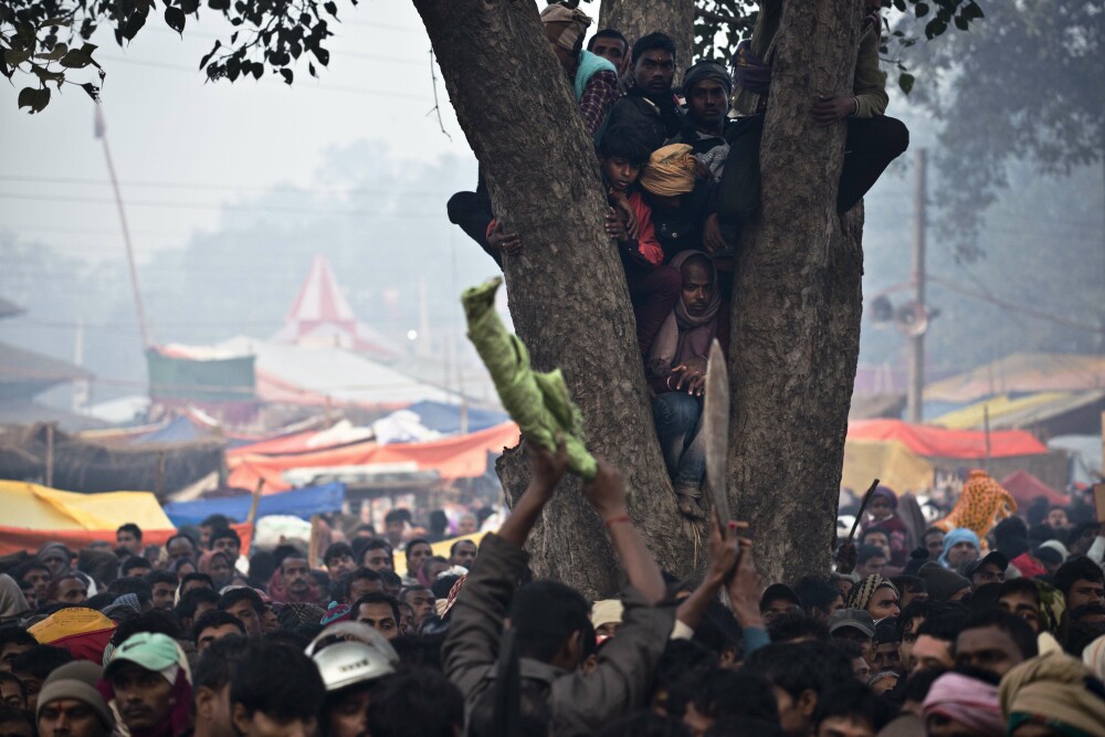 Peste 5000 de bivoli au fost ucisi in Nepal in timpul festivalului Gadhimai. Imagini cu impact emotional puternic - Imaginea 5