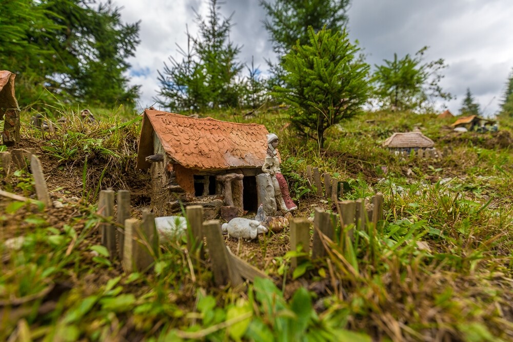 (P) Scoala din Romania unde orele de curs se tin intr-o padure. Cum arata 